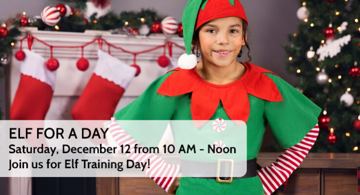 Elf For A Day