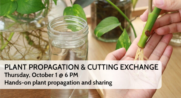 Plant Propagation & Cutting Exchange